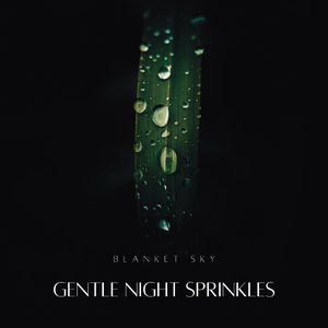 Soft Street Trees Rain