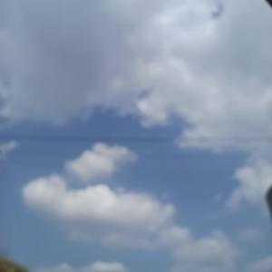 冬眠_小张吃饭了.mp3