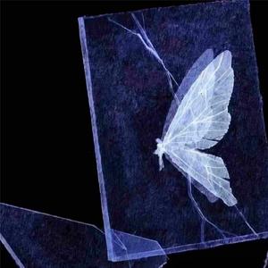 隔壁班嘉豪专用曲