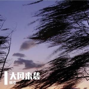 大风来袭