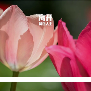 离开PROD BY WomboCombo