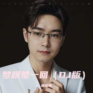 梦呀梦一回 (DJ版)
