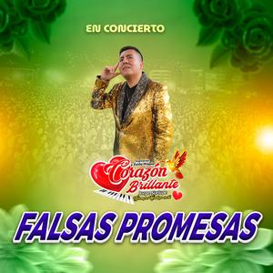 FALSAS PROMESAS (En concierto)