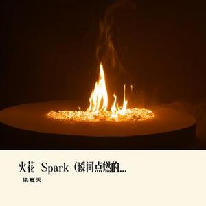 火花  Spark (瞬间点燃的氛围)