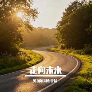 走向未来