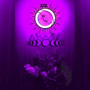BXRSERK (WITCH HOUSE)