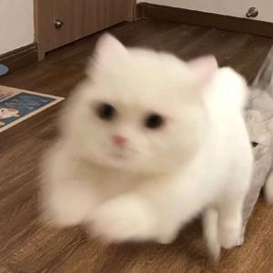 好像掉进爱情海里.wav