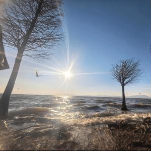 爱到最后是背叛