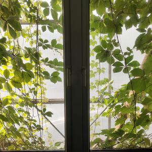 夏日里的最后一天