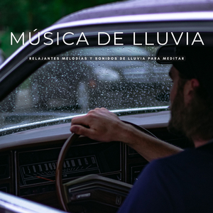 Relajantes Sonidos De Lluvia
