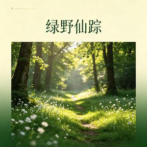 绿野仙踪（温柔版）