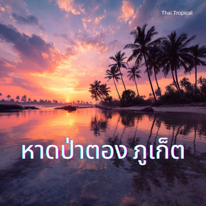 เกาะเต่า ดำน้ำลึก