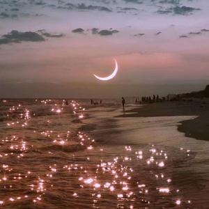 是初恋是心动是你