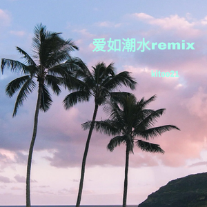 前男友-爱如潮水remix（kitoo21 remix）