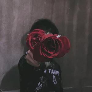 带我去月球veres