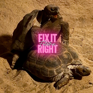 Fix It Right