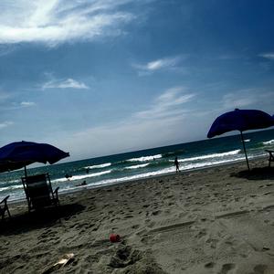 Blame It On The Ocean