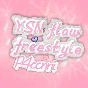 YSN flow 15m freestyle