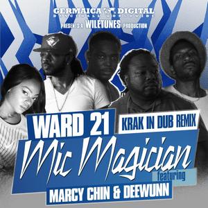 Mic Magician (Krak in Dub Remix)