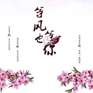 等风也等你（cover）