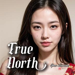 True North