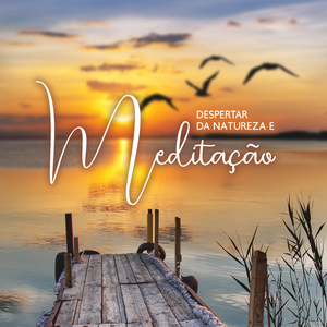Resonancias Delicadas Curativa