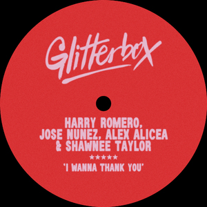 I Wanna Thank You (Extended Mix)