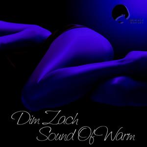 Discomare Sex (John Ugalde Remix)