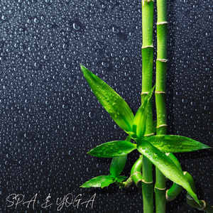 Bintan Sorrow (Edit)
