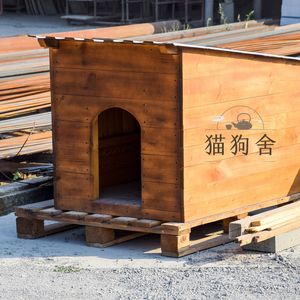 狗狗的忠诚之歌 (钢琴)