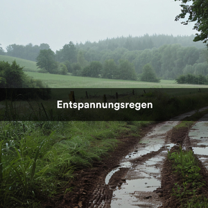 Regen für eine erholsame Nacht