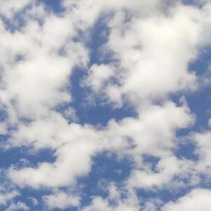 病猫少年(Prod By GOAT CREW)