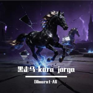 哈萨克民歌-黑走马kara jorga（Dilmurat-Ali remix）
