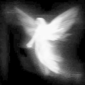 es d noxe (feat. Tmtup)