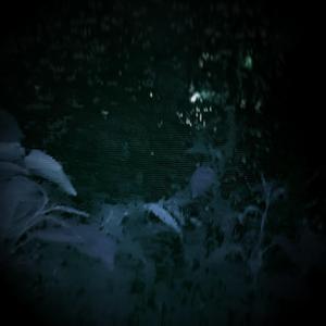 Drifting Apart (feat. Becca)