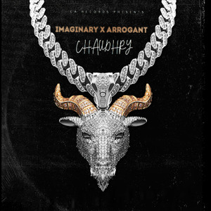 IMAGINARY X ARROGANT