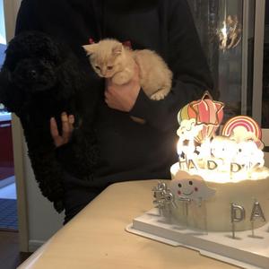 干嘛听苦情歌以为多浪漫