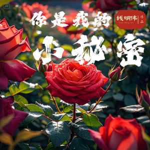 你是我的小秘密