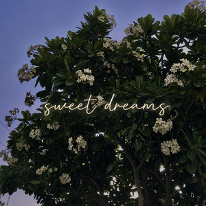 Sweet Dreams