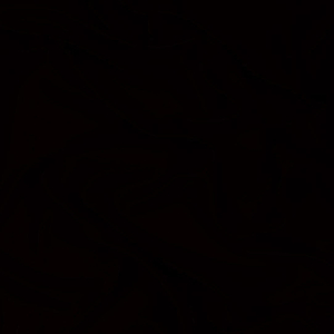 feb 12