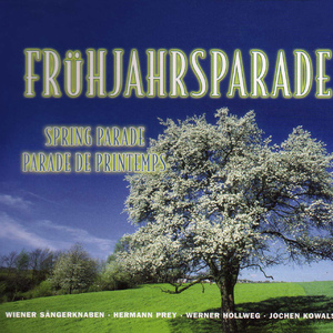 Waldandacht, Op. 211, No. 3