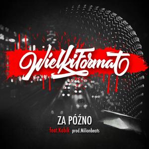 Za późno (feat. Kobik)