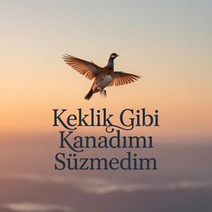Keklik Gibi Kanadımı Süzmedim