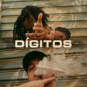 Dígitos
