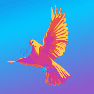 Logica y Razón (Can)