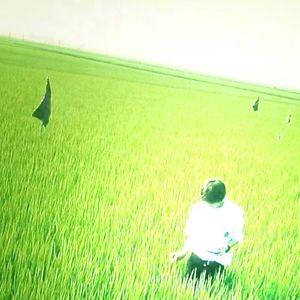 我在秋千抽根烟 泪水随我落下