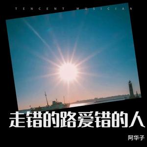 走错的路爱错的人