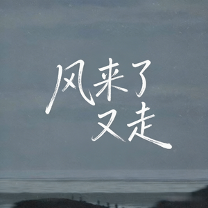 风来了又走