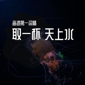 我也喜欢你的女朋友