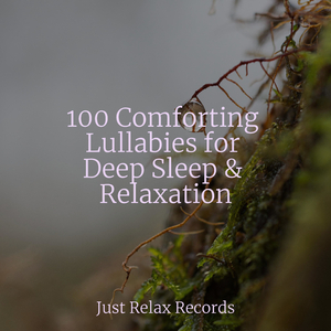 Twilight Rhythms in Motion